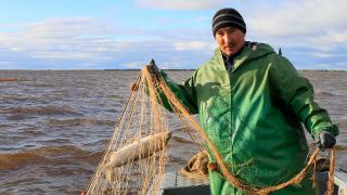 Дмитрий Артюхов поздравил работников рыбохозяйственной отрасли с профессиональным праздником