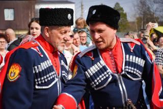 В Губкинском прошёл региональный фестиваль казачьей культуры «Лейся, песня казака, по земле России».